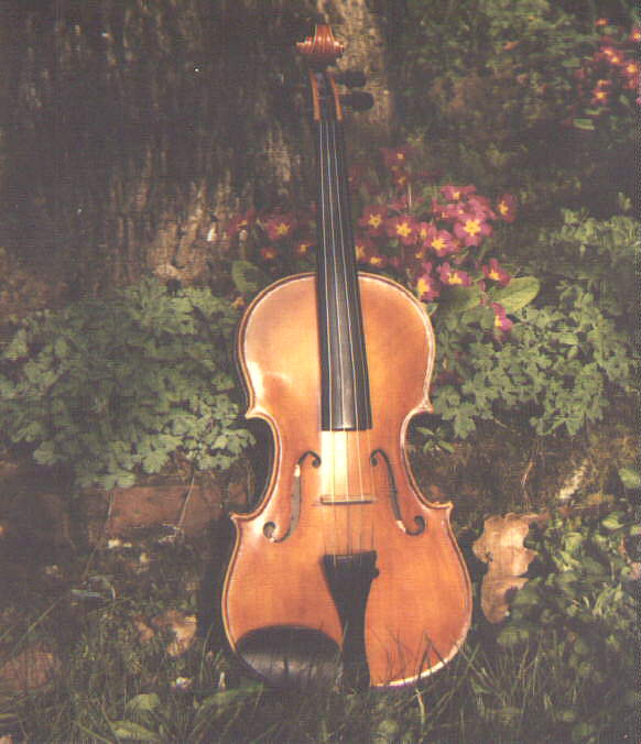 violin-3.jpg