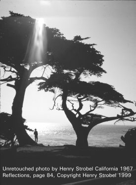 Monterey